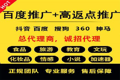 百度竞价排名服务：成功案例解析与优化策略